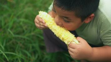 Asian kid  eating fresh corn at corn garden. photo