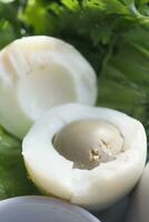 closeup of bowel egg on lettuce photo