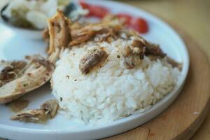 Closeup of Cooked white rice served with boil chicken on a plate photo