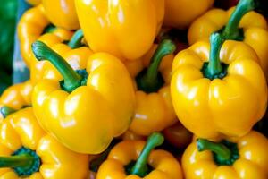 el primer plano y el montón de cultivos de pimiento amarillo dulce encajan en el fondo de la pantalla y el papel tapiz. foto