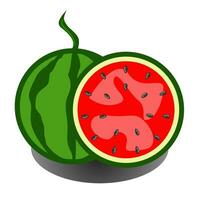 illustration of a watermelon vector