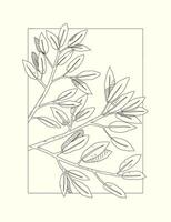 Botanical line art illustration, hand drawn with minimalist frame vector