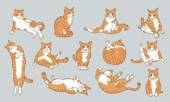 Cute Cartoon orange cat set,cat Character Design with Flat Colors in Various Poses vector