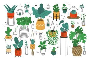 Hand-drawn vector illustration with flowers in pots.