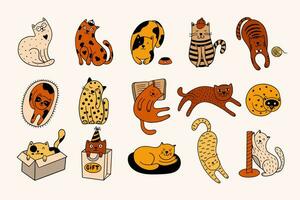 Set of 15 cute hand-drawn cats vector