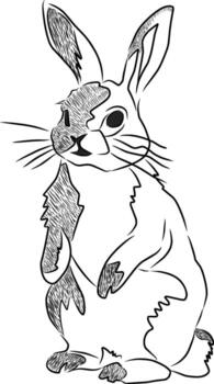 Rabbit sketch simple vector for coloring books