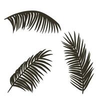 Set of palm branches in different angles vector