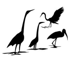 set of swan silhouette black and white illustration vector