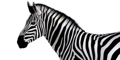 zebra horse strip line in black and white vector illustration.