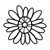 Hand drawn simple flower illustration vector