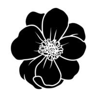 Hand drawn simple flower illustration vector