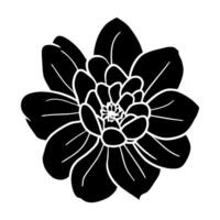 Hand drawn simple flower illustration vector