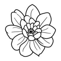 Hand drawn simple flower illustration vector