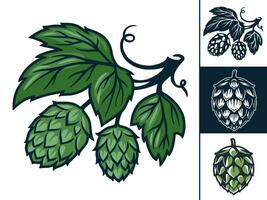 Set of craft beer hop for logo and emblem in bar vector