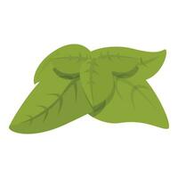 Pesto leaf plant icon cartoon vector. Utensil seasoned vector