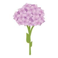 amor hortensia icono dibujos animados vector. matrimonio jardín vector