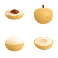 Longan fruit icons set cartoon vector. Fresh exotic fruit vector