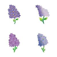 Lilac blossom icons set cartoon vector. Colorful blooming lilac branch vector