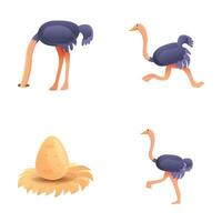 African ostrich icons set cartoon vector. Ostrich bird and big egg vector