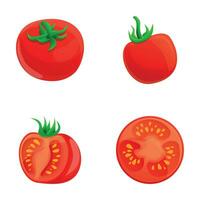 Fresco tomate íconos conjunto dibujos animados vector. maduro rojo tomate vector