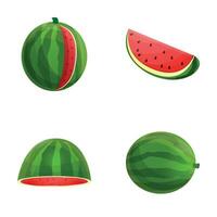 Ripe watermelon icons set cartoon vector. Fresh juicy watermelon vector