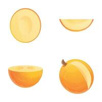 Fresh melon icons set cartoon vector. Ripe melon vector