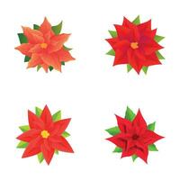 Red poinsettia icons set cartoon vector. Poinsettia plant with star flower vector