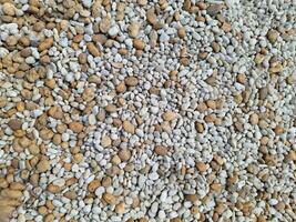 White-brown pebbles filled the area. photo