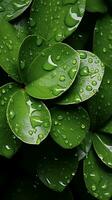 AI generated Topview of green leaves background with water droplets, copy Vertical Mobile Wallpaper photo