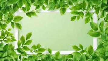 Fresco verde hojas marco. foto