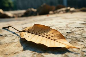 AI generated Fallen grace Dried mango leaf adds rustic charm to concrete photo