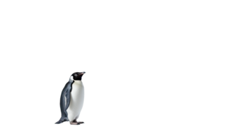 ai generato pinguino isolato su un' trasparente sfondo png