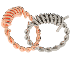 sieraden geïsoleerd Aan achtergrond. 3d renderen - illustratie png