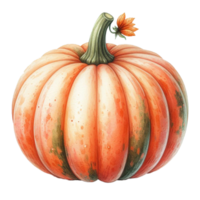 AI generated Watercolor Pumpkin element on png transparent background.