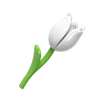 3d White Tulip Flower Cartoon Style for Bouquet or Decoration. Love Valentine romantic design transparent spring illustration png