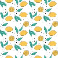 lemon doodle pattern vector