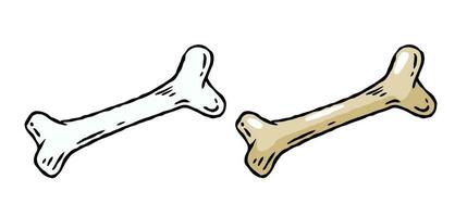 Set of bones. Part of the human skeleton. White dog Toy. Vector Cartoon and flat illustration