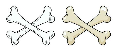 Set of bones. Part of the human skeleton. White dog Toy. Vector Cartoon and flat illustration