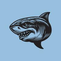 Shark head on a blue background. Vector illustration in vintage style.