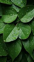 AI generated Damp and slick texture wet leaves with water droplets background Vertical Mobile Wallpaper photo