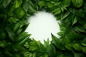 AI generated Green leaves form a circular frame with white center, top view photo