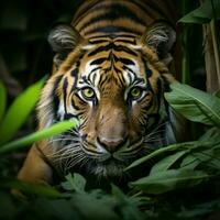 AI generated view Sumatran tiger stealthily stalking in the dense jungle For Social Media Post Size photo