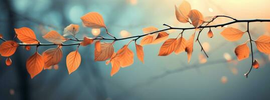 AI generated yellow leaves in autumn with beautiful sunlight photo