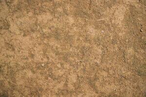 Cow Dung  brown plaster of soil  abstract Texture Background Countryside of Bangladesh photo