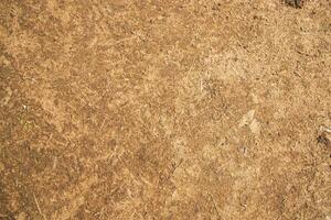 Cow Dung  brown plaster of soil  abstract Texture Background Countryside of Bangladesh photo