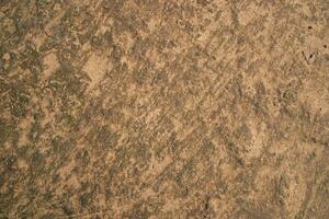 Cow Dung  brown plaster of soil  abstract Texture Background Countryside of Bangladesh photo