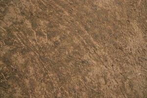 Cow Dung  brown plaster of soil  abstract Texture Background Countryside of Bangladesh photo