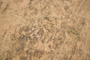 Cow Dung  brown plaster of soil  abstract Texture Background Countryside of Bangladesh photo