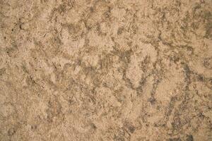 Cow Dung  brown plaster of soil  abstract Texture Background Countryside of Bangladesh photo