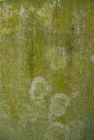 Lichen Fungi Green Moss Texture abstract background concrete wall. Rusty, Grungy, Gritty Vintage Background photo